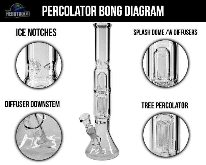 Bong Percolator Diagram
